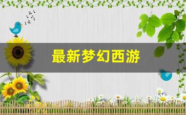 梦幻私服：最新梦幻西游 (14)