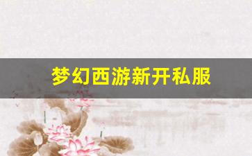 刚开sf：梦幻西游新开私服 (17)