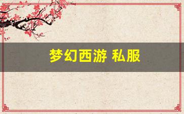 梦幻西游 私服 (5)