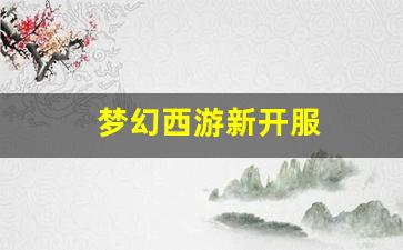 梦幻西游新开服 (3)