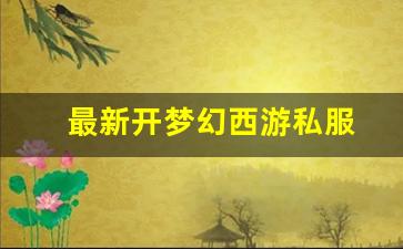 最新开梦幻西游私服 (3)