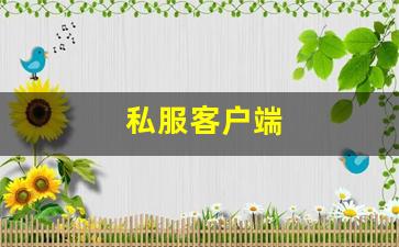 私服客户端 (8)