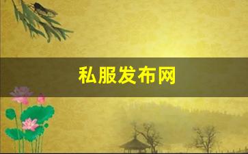 私服发布网(手游私sf平台) (5)