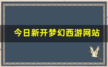 私服客户端：今日新开梦幻西游网站(梦幻西游端游官网) (2)