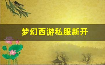 梦幻西游私服新开(梦幻西游手游吧) (8)