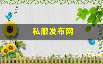 最新开梦幻西游私服：私服发布网(手游私sf平台) (2)