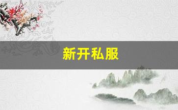 新开私服(传奇新开服网站大全) (2)